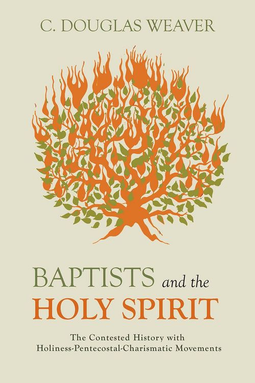 Produktbild: Baptists and the Holy Spirit