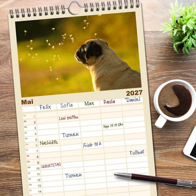 Produktbild: Familienplaner 2027 - Lustige M&ouml;pse aus der Hundeknipserei mit 5 Spalten (Wandkalender, 21 x 45 cm) CALVENDO