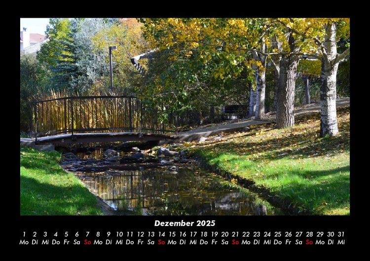 Produktbild: B&auml;ume 2025 Fotokalender DIN A3