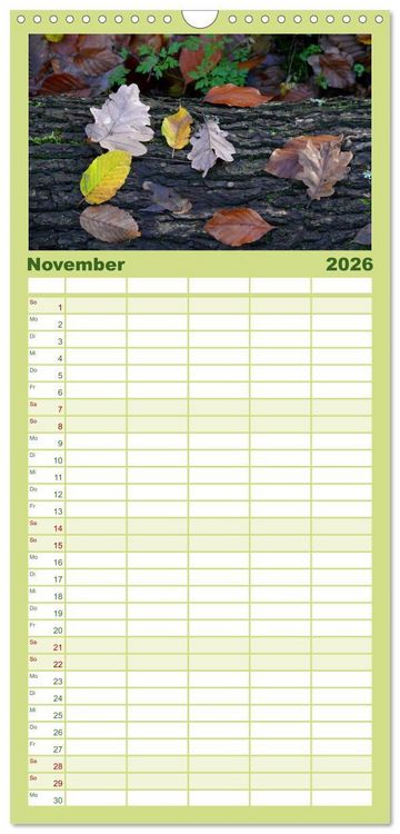 Produktbild: Familienplaner 2026 - Wald und Baum 2026 mit 5 Spalten (Wandkalender, 21 x 45 cm) CALVENDO