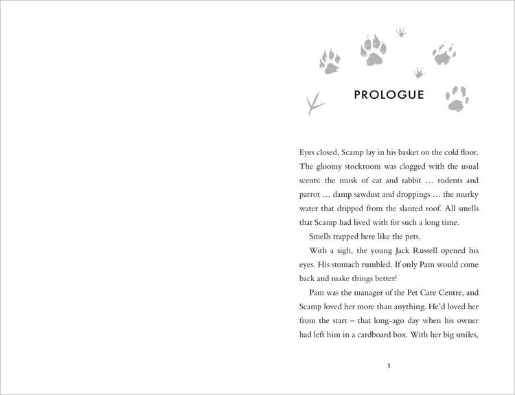 Produktbild: The Wild Ones
