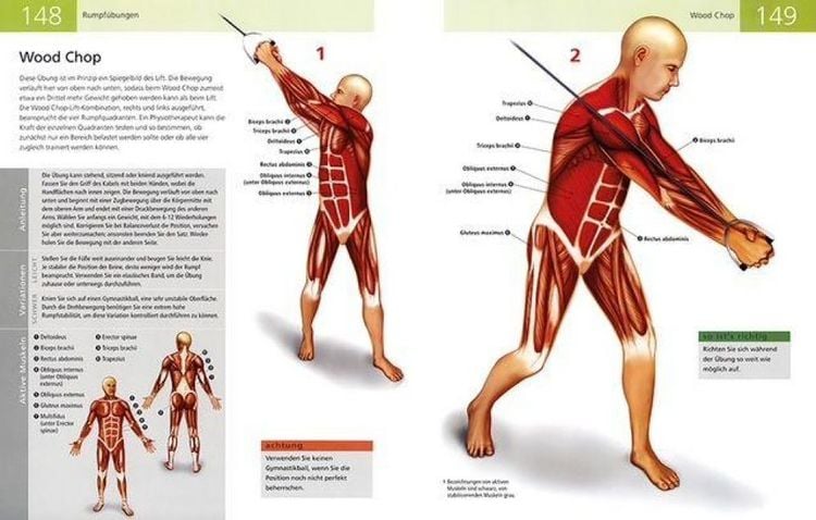 Produktbild: Die Anatomie von Stretching und Fitness