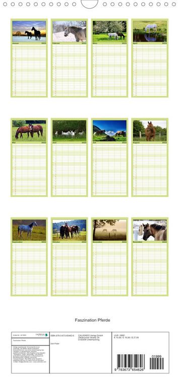 Produktbild: Familienplaner Faszination Pferde (Wandkalender 2022 , 21 cm x 45 cm, hoch)