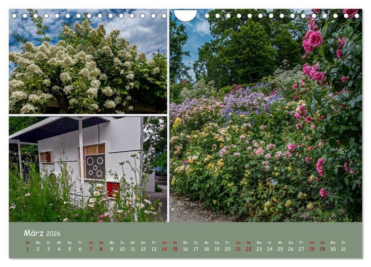 Produktbild: Erfurt erbl&uuml;ht (Wandkalender 2026 DIN A4 quer), CALVENDO Monatskalender