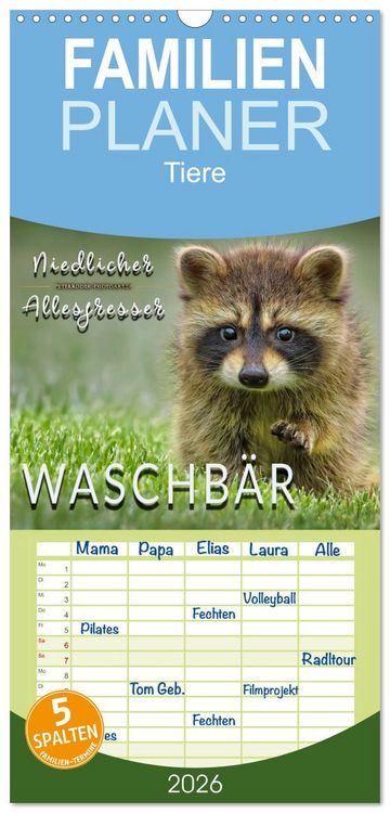 Produktbild: Familienplaner 2026 - Waschb&auml;r - Niedlicher Allesfresser mit 5 Spalten (Wandkalender, 21 x 45 cm) CALVENDO