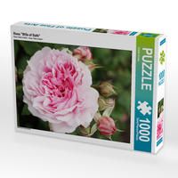 Produktbild: CALVENDO Puzzle Rosa "Wife of Bath" | 1000 Teile Lege-Gr&ouml;&szlig;e 64x48cm Foto-Puzzle f&uuml;r gl&uuml;ckliche Stunden