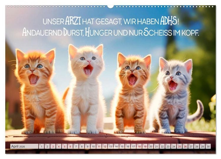 Produktbild: S&uuml;&szlig;e Katzen und coole Spr&uuml;che (hochwertiger Premium Wandkalender 2026 DIN A2 quer), Kunstdruck in Hochglanz