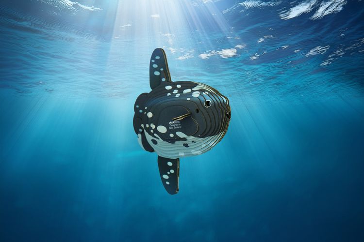 Produktbild: EUGY - 3D Bastelset Mondfisch