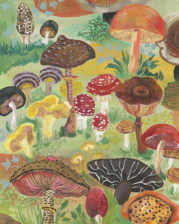 Produktbild: Nathalie L&eacute;t&eacute; Mushrooms 1,000-Piece Puzzle