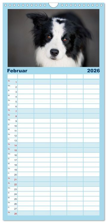 Produktbild: Familienplaner 2026 - H&uuml;tehunde - H&uuml;ter der Herzen mit 5 Spalten (Wandkalender, 21 x 45 cm) CALVENDO
