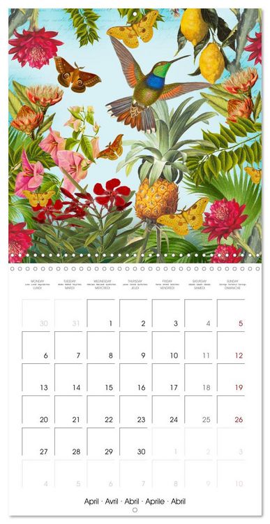 Produktbild: Lovely hummingbirds (Wall Calendar 2026 12 &times; 12 Inch) CALVENDO 12 Month Wall Calendar