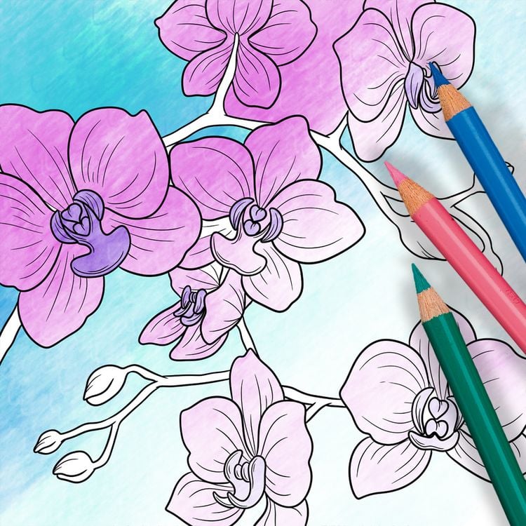 Produktbild: Colorful World - Zarte Blumengr&uuml;&szlig;e