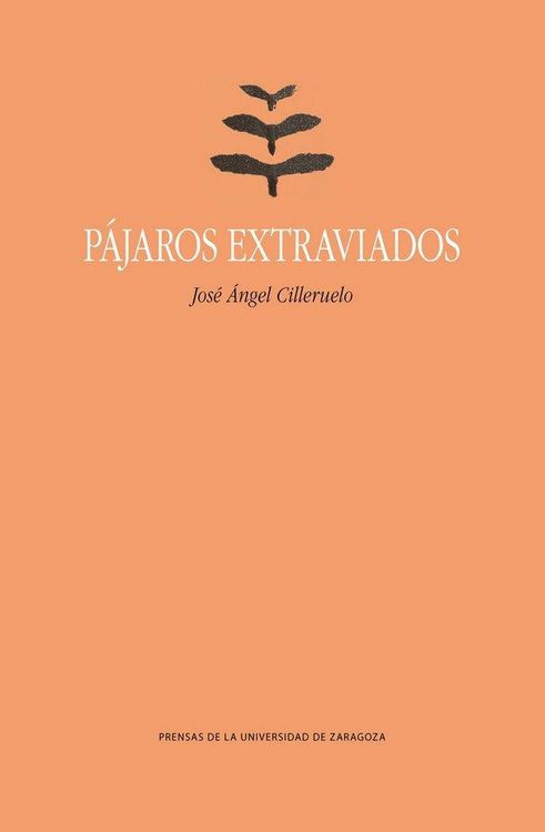 Produktbild: P&aacute;jaros extraviados