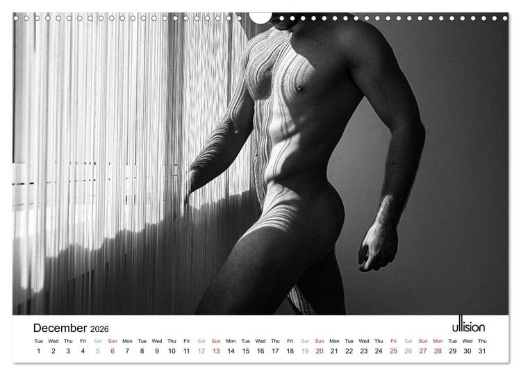 Produktbild: Male Nude Art (Wall Calendar 2026 DIN A3 landscape), CALVENDO 12 Month Wall Calendar