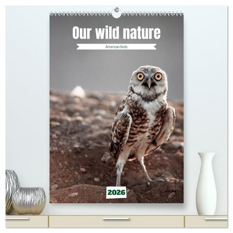 Produktbild: Our wild nature, American birds (High Quality Premium Wall Calendar 2026 DIN A2 portrait),CALVENDO 12 Month Wall Calendar