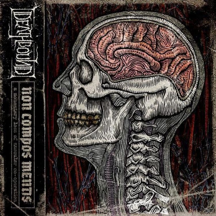 Produktbild: Non Compos Mentis