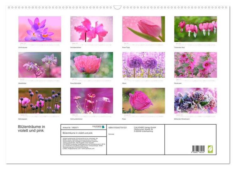 Produktbild: Bl&uuml;tentr&auml;ume in violett und pink (Wandkalender 2026 DIN A2 quer), CALVENDO Monatskalender