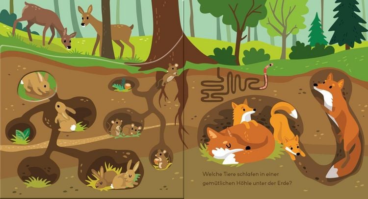 Produktbild: Baby Pixi (unkaputtbar) 178: Flippediflapp: Tiere im Wald