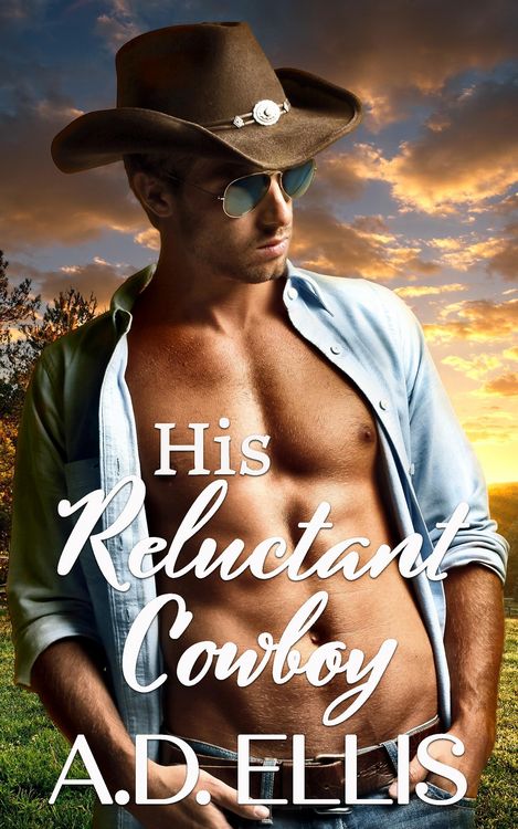 Produktbild: His Reluctant Cowboy