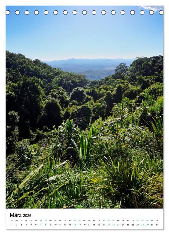 Produktbild: Regenwald - Australien (Tischkalender 2026 DIN A5 hoch), CALVENDO Monatskalender