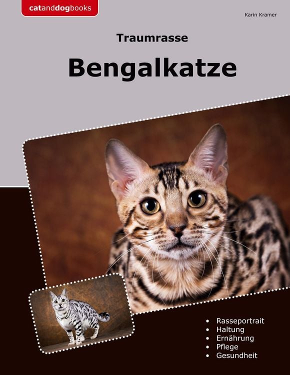 Produktbild: Traumrasse Bengalkatze