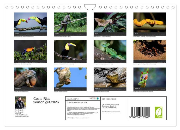 Produktbild: Costa Rica tierisch gut 2026 (Wandkalender 2026 DIN A4 quer), CALVENDO Monatskalender
