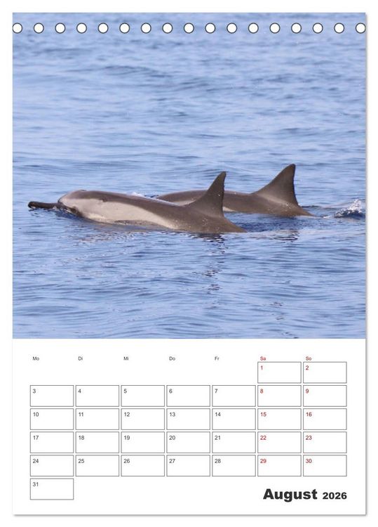 Produktbild: Hawaii - Reiseplaner (Tischkalender 2026 DIN A5 hoch), CALVENDO Monatskalender