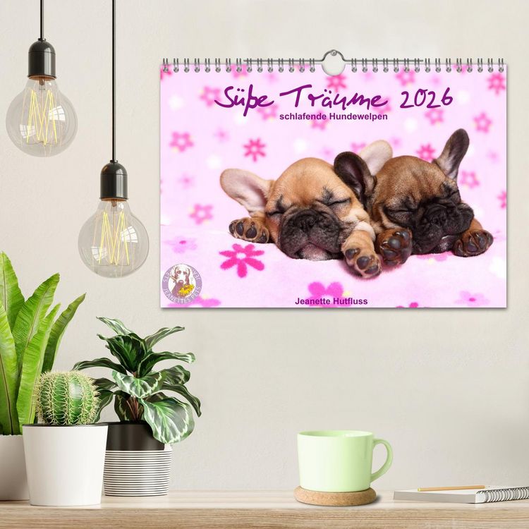 Produktbild: S&uuml;&szlig;e Tr&auml;ume 2026 - schlafende Hundewelpen (Wandkalender 2026 DIN A4 quer), CALVENDO Monatskalender