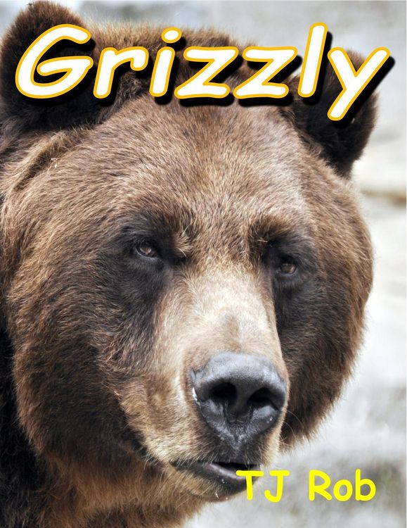 Produktbild: Grizzly (Discovering The World Around Us)