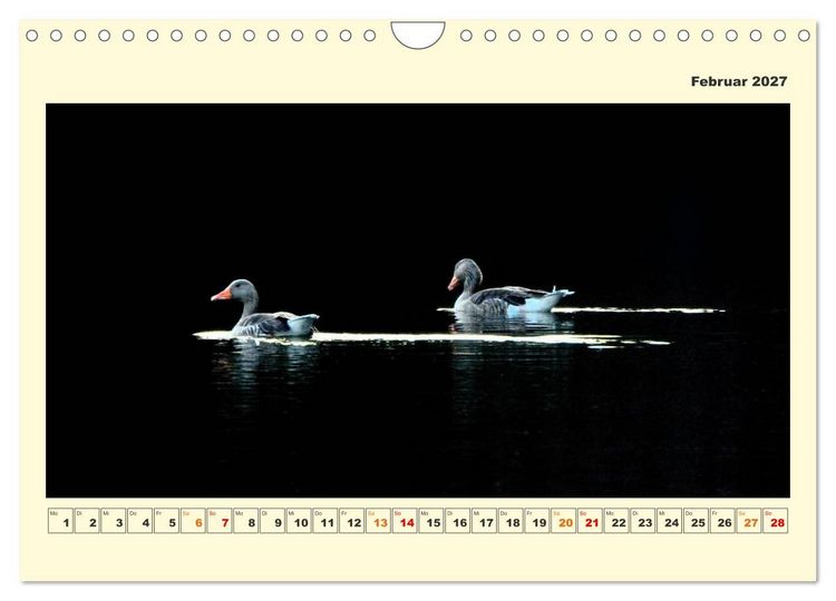 Produktbild: Tierwelt der W&uuml;mmeniederung (Wandkalender 2027 DIN A4 quer), CALVENDO Monatskalender