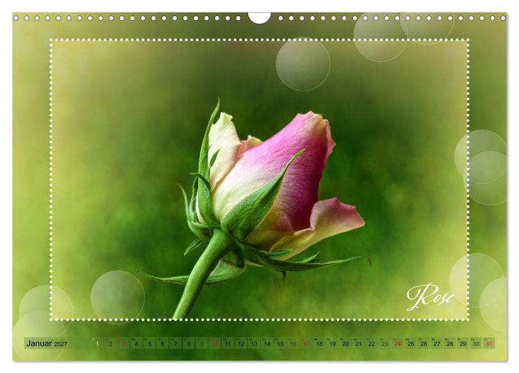 Produktbild: Bl&uuml;tenbouquet (Wandkalender 2027 DIN A3 quer), CALVENDO Monatskalender