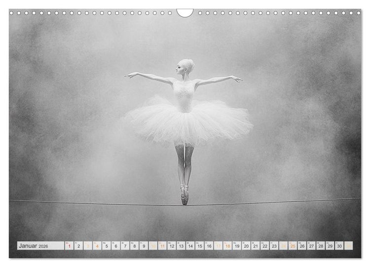 Produktbild: Im Pas de Deux mit der Stille (Wandkalender 2026 DIN A3 quer), CALVENDO Monatskalender