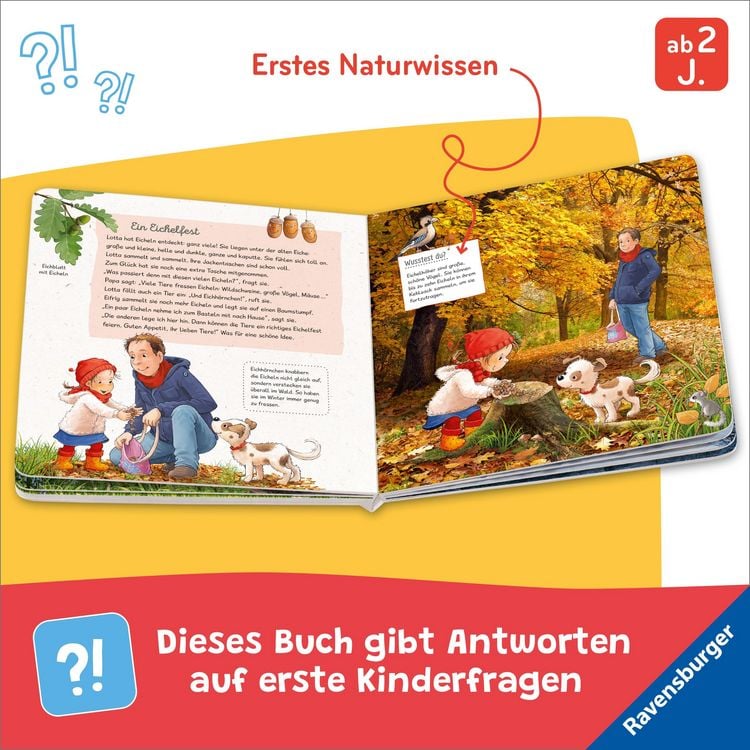 Produktbild: Lotta liebt den Wald