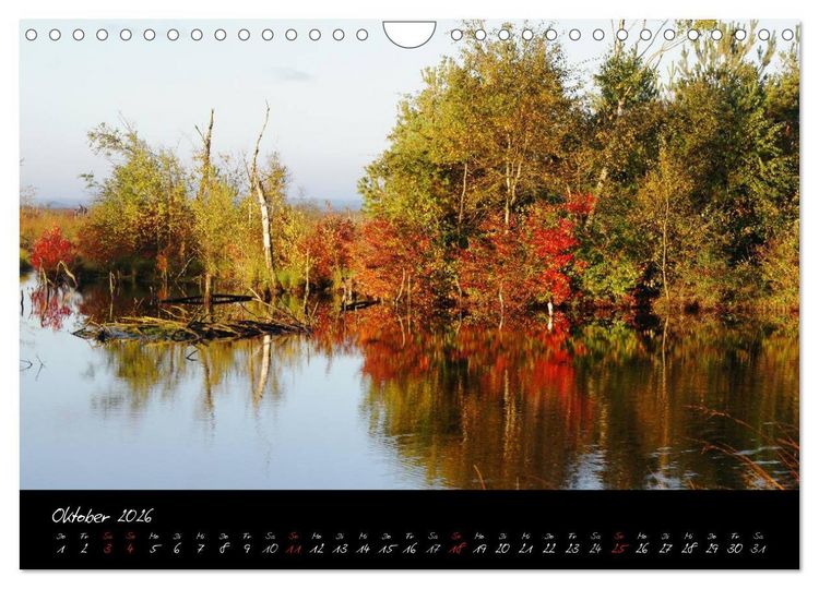 Produktbild: Im Goldenstedter Moor (Wandkalender 2026 DIN A4 quer), CALVENDO Monatskalender