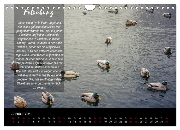 Produktbild: Die Sch&ouml;nheit der Natur - Naturfotografie-Kalender mit Foto- und Kreativ&uuml;bungen (Wandkalender 2026 DIN A4 quer), CALVENDO Monatskalender