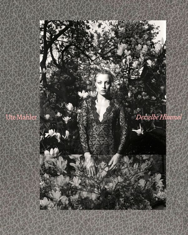 Produktbild: Ute Mahler | Derselbe Himmel