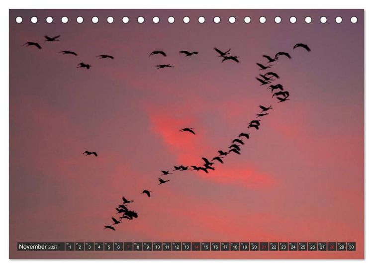Produktbild: Leben am Naturpark um den D&uuml;mmer See (Tischkalender 2027 DIN A5 quer), CALVENDO Monatskalender