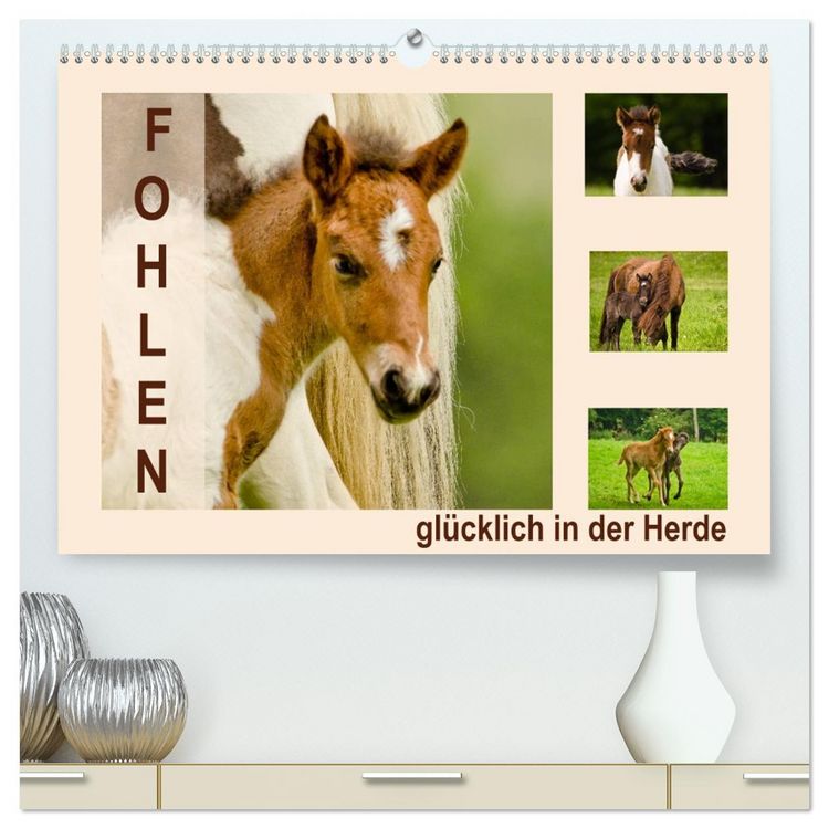 Produktbild: Fohlen, gl&uuml;cklich in der Herde (hochwertiger Premium Wandkalender 2026 DIN A2 quer), Kunstdruck in Hochglanz