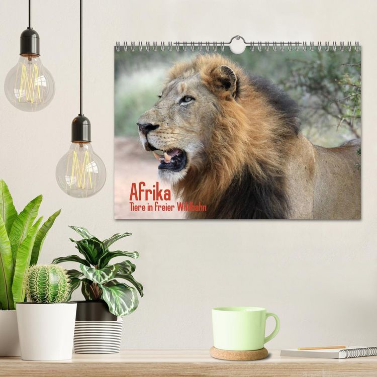 Produktbild: Afrika. Tiere in freier Wildbahn (Wandkalender 2026 DIN A4 quer), CALVENDO Monatskalender