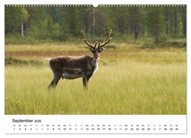 Produktbild: Einblick-Natur: Finnland nat&uuml;rlich (Wandkalender 2026 DIN A2 quer), CALVENDO Monatskalender