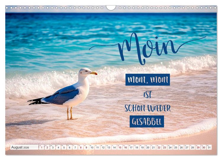 Produktbild: Meerblick und Plattschnack (Wandkalender 2026 DIN A3 quer), CALVENDO Monatskalender