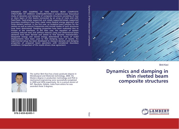 Produktbild: Dynamics and damping in thin riveted beam composite structures