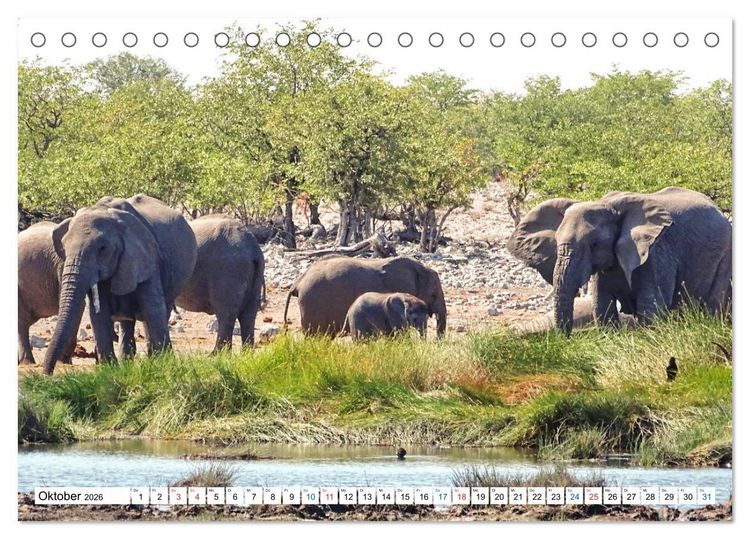 Produktbild: Namibia, Faszination W&uuml;ste und Tierwelt (Tischkalender 2026 DIN A5 quer), CALVENDO Monatskalender
