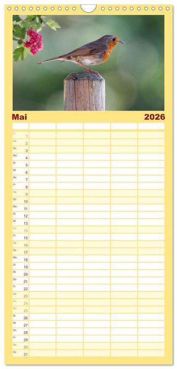 Produktbild: Familienplaner 2026 - Rotkehlchen - Fotografiert von Ostfriesenfotografie mit 5 Spalten (Wandkalender, 21 x 45 cm) CALVENDO