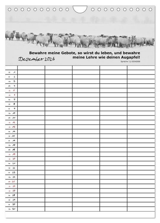 Produktbild: ein Planer mit biblischer Weisheit aus den Spr&uuml;chen Salomos (Wandkalender 2026 DIN A4 hoch), CALVENDO Monatskalender