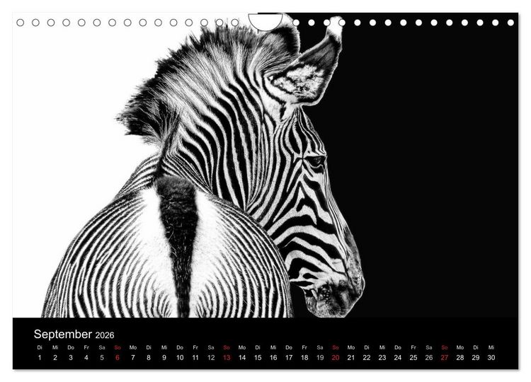 Produktbild: Tierisches (Wandkalender 2026 DIN A4 quer), CALVENDO Monatskalender