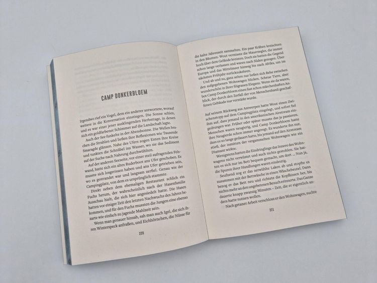 Produktbild: Die Schlucht