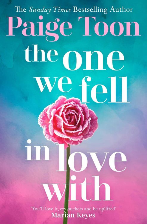 Produktbild: The One We Fell in Love With