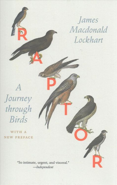 Produktbild: Raptor