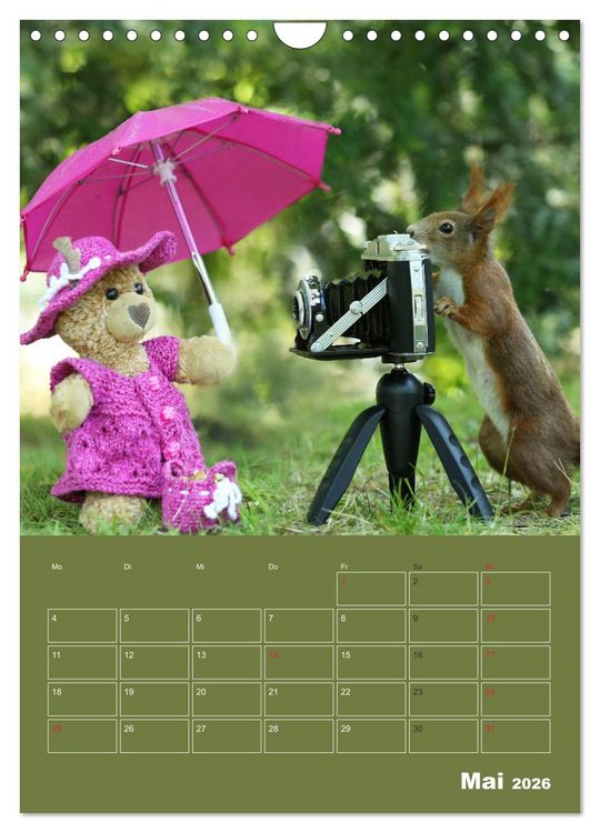 Produktbild: Eichh&ouml;rnchen - Abenteuer mit Freund Teddy (Wandkalender 2026 DIN A4 hoch), CALVENDO Monatskalender